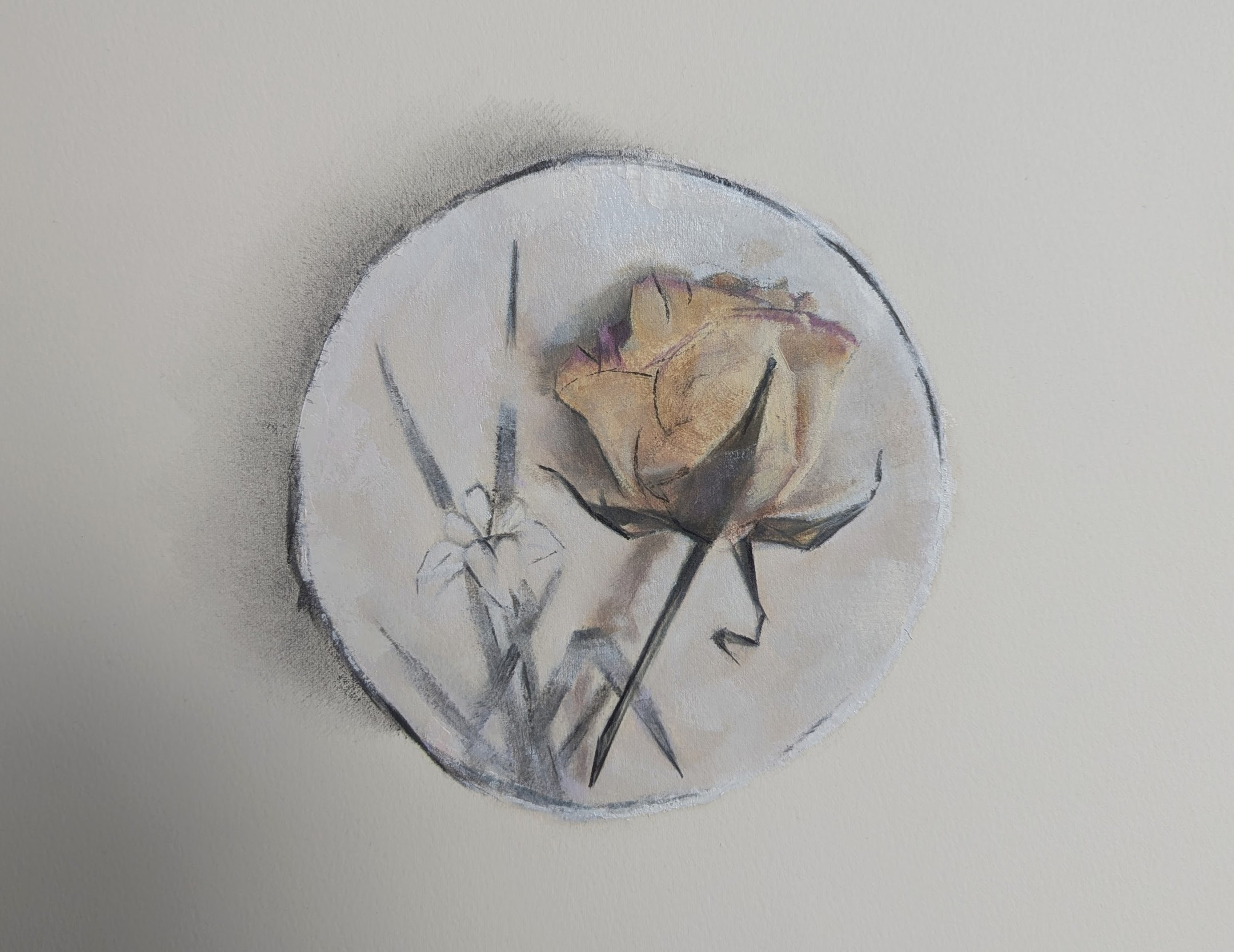 A Dry Rose on a Japanese Plate &mdash; Jasmin Harell